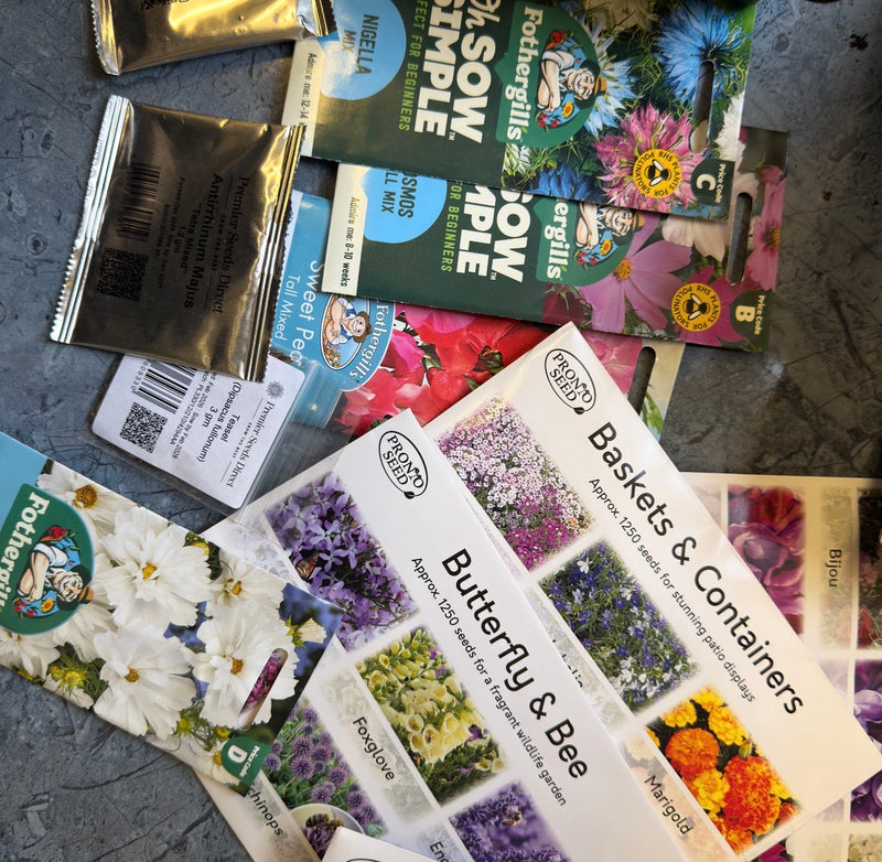 Sowing the First Seeds