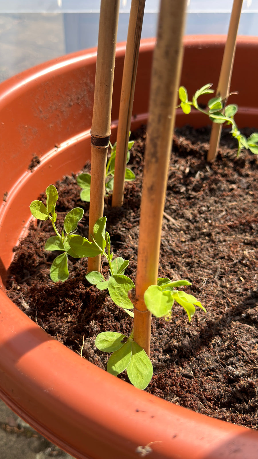 Bee & Bloom Instagram